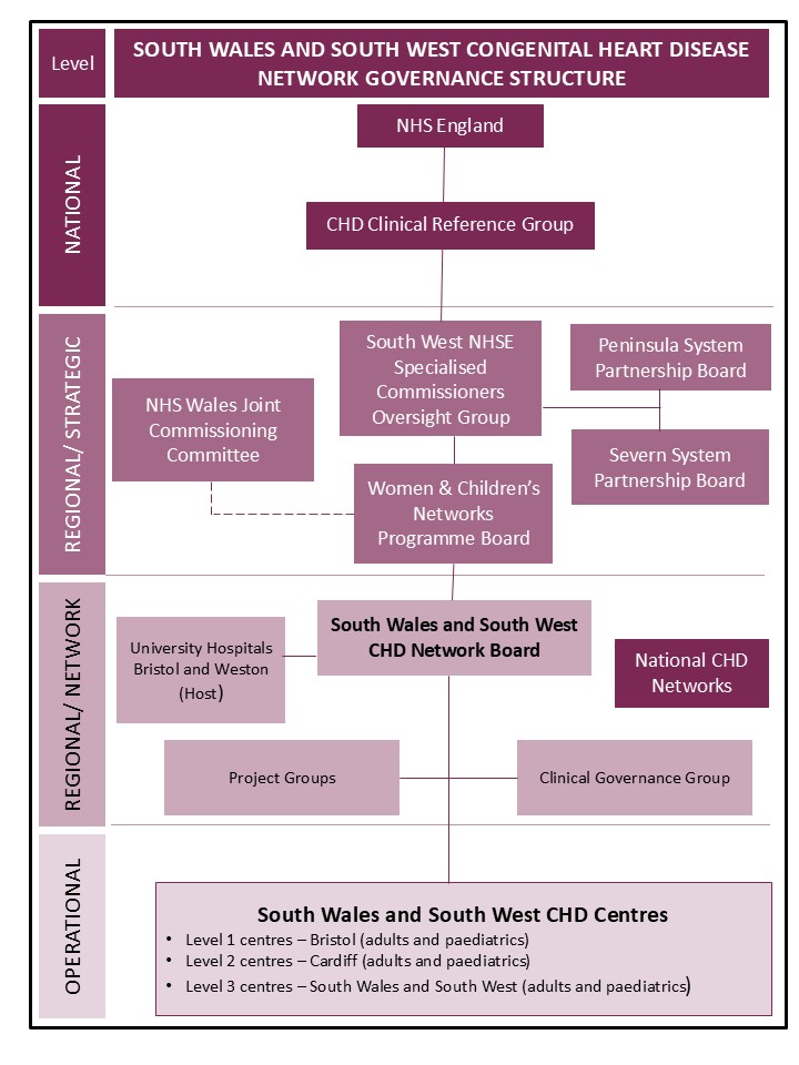 Network Governance
